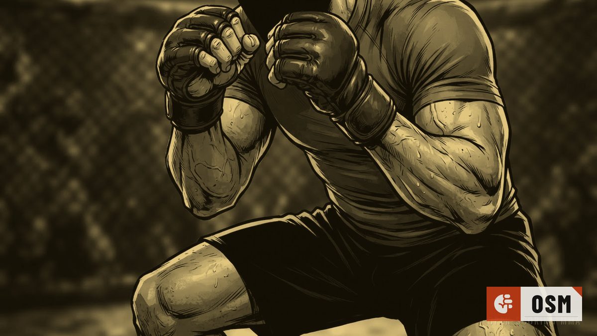 Illustration: a fighter in a deep crouch, fists raised defensively.